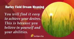 Barley Field Dream Meaning