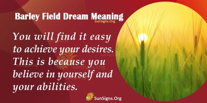 Barley Field Dream Meaning