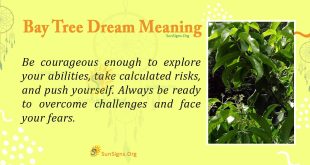 bay tree dream meaning