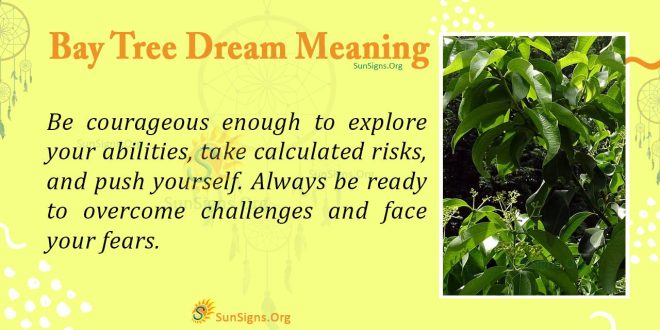 bay tree dream meaning