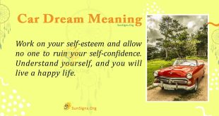 Car Dream Meaning