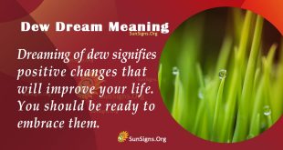 Dew Dream Meaning