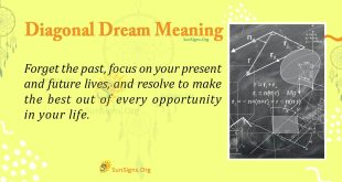 Diagonal Dream Meaning