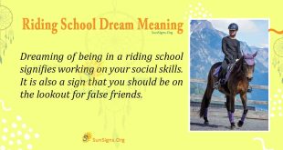 Riding School Dream Meaning