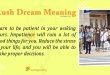 Rush Dream Meaning