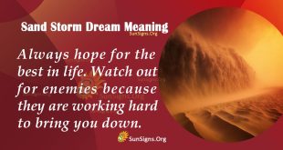 Sand Storm Dream Meaning