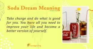 Soda Dream Meaning