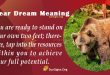 Bear Dream Meaning