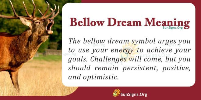 Bellow Dream Meaning