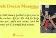 Belt Dream Meaning