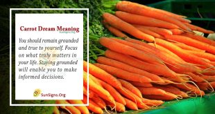 Carrot Dream Meaning