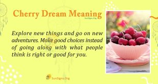 cherry dream meaning