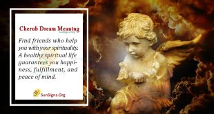 Cherub Dream Meaning