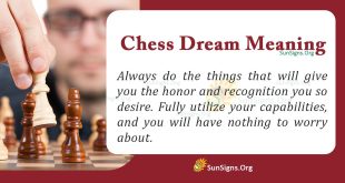Chess Dream Meaning
