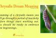 Chrysalis Dream Meaning