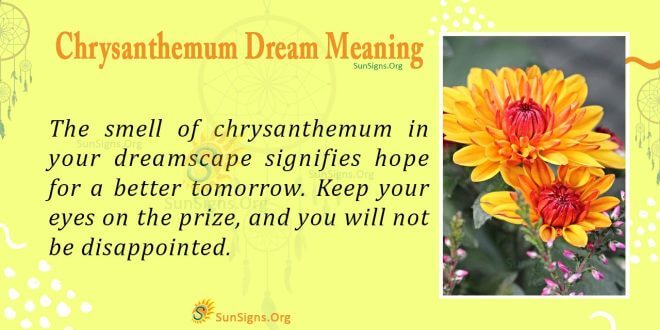 Chrysanthemum Dream Meaning