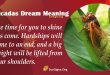 Cicadas Dream Meaning
