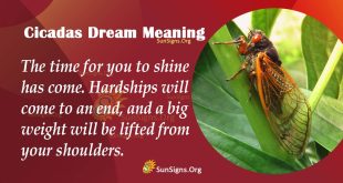 Cicadas Dream Meaning