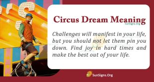 Circus Dream Meaning