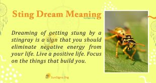 sting dream meaning