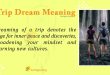 Trip Dream Meaning