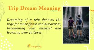 Trip Dream Meaning
