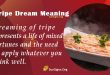 Tripe Dream Meaning