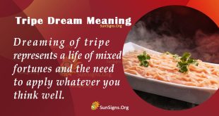 Tripe Dream Meaning